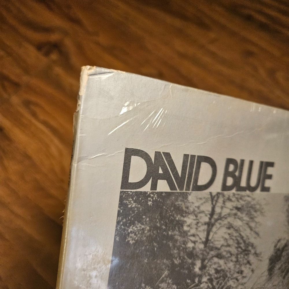 David‎ Blue – Nice Baby And The Angel 1973 Asylum Records SD 5066 LP Sealed NOS - Picture 4 of 6